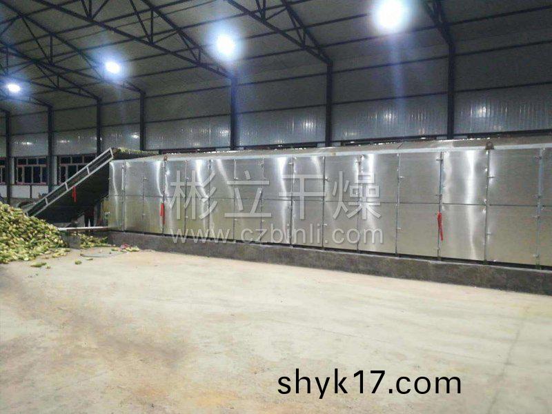 脫(tuo)水(shui)蔬菜(cai)帶式榦燥機(jī)(ji)